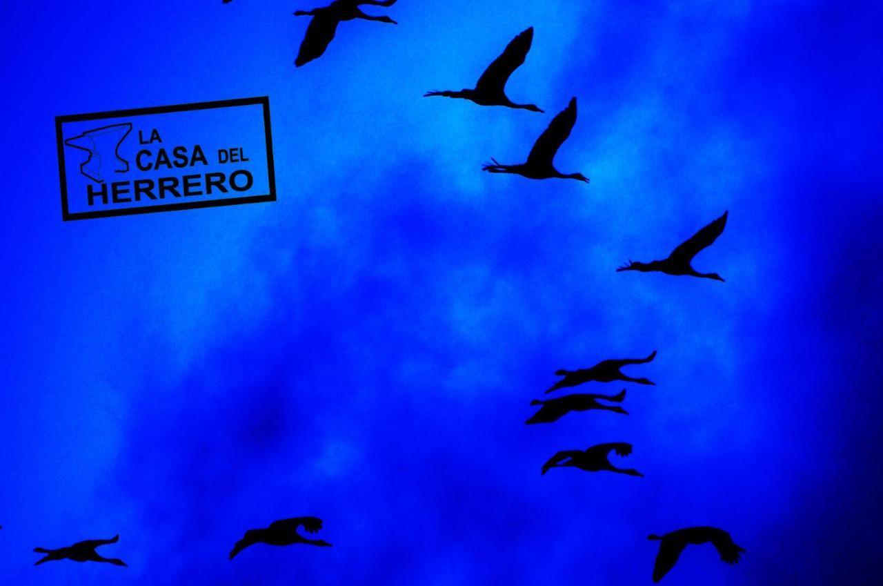 La Casa Del Herrero El Poyo Eksteriør billede